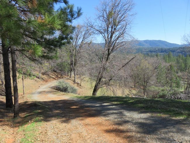 4196 Bald Mountain Rd, Home with 0 bedrooms, 0 bathrooms and null parking in West Point CA | Image 25