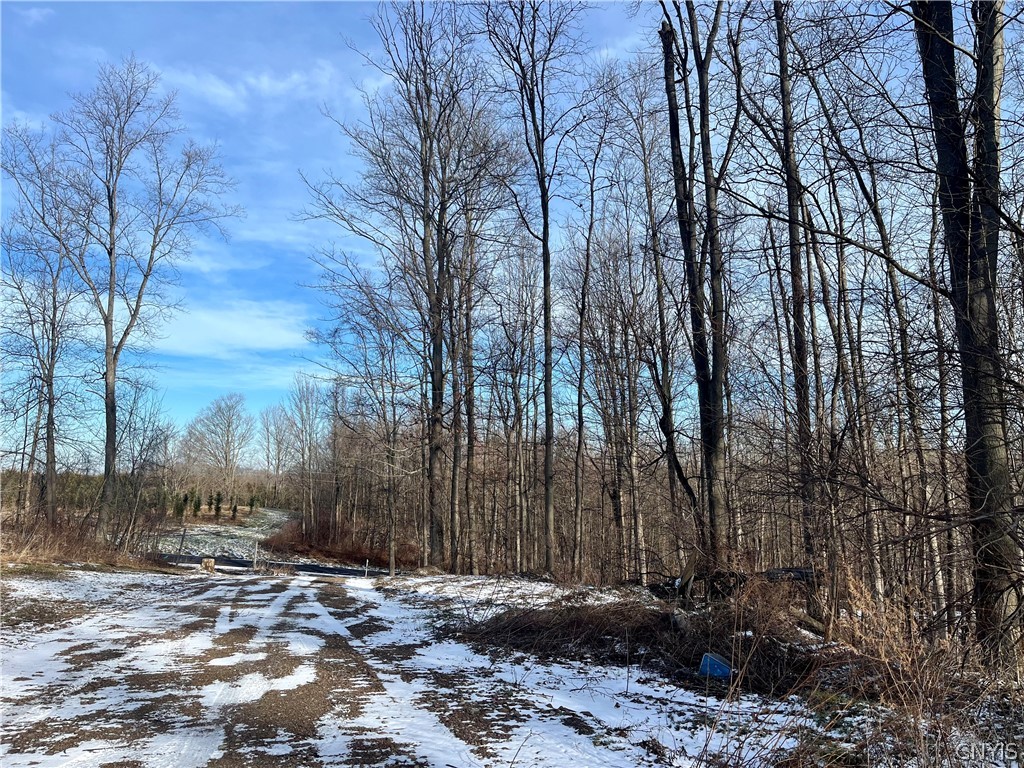 237 Blythe Road, Sold in Hannibal Zoocasa