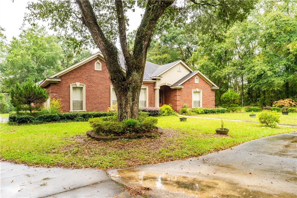 Riviere Du Chien Rd, Mobile, AL 36693 #1