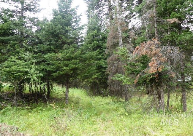 1 Clements Rd, Home with 0 bedrooms, 0 bathrooms and null parking in McCall ID | Image 5