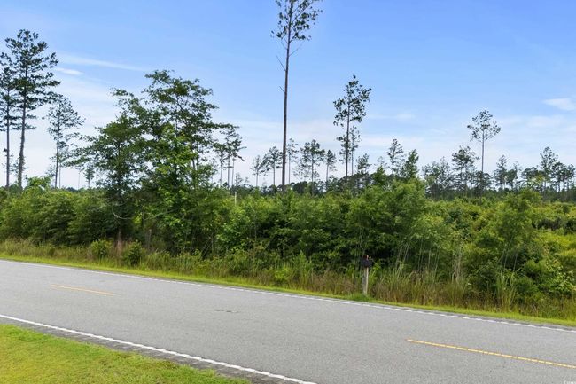 View of asphalt road | Image 6