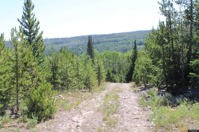 9706 9902 County Road 271, Home with 5 bedrooms, 3 bathrooms and null parking in Robertson WY | Image 50