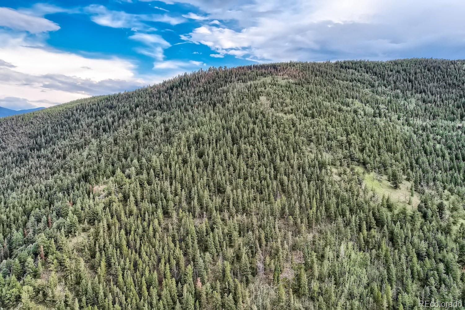 Land in Dumont 3