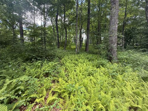 Lot 9 Apple Mountain Ln, Highlands, NC, 28741-8600 | Card Image