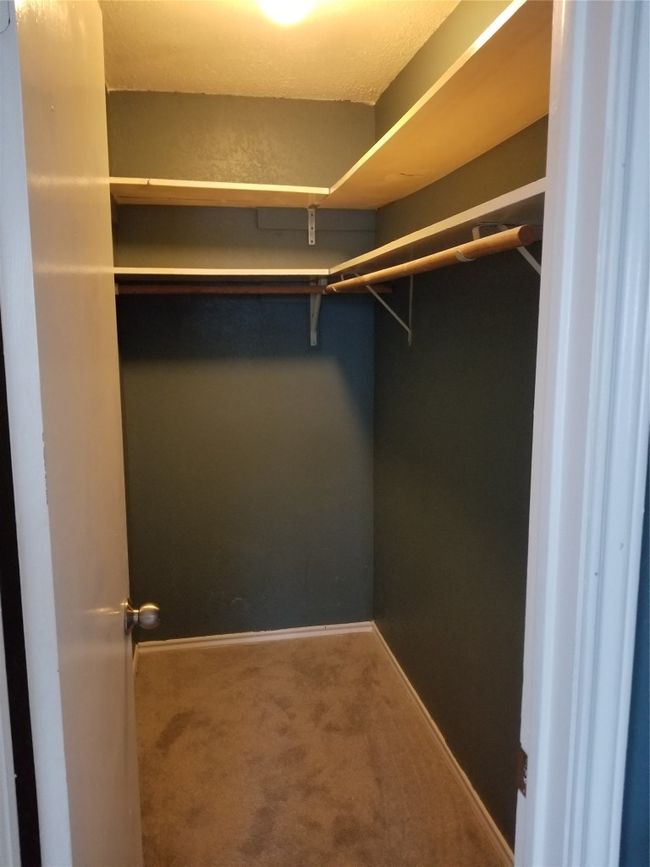 Walk in closet featuring carpet | Image 11