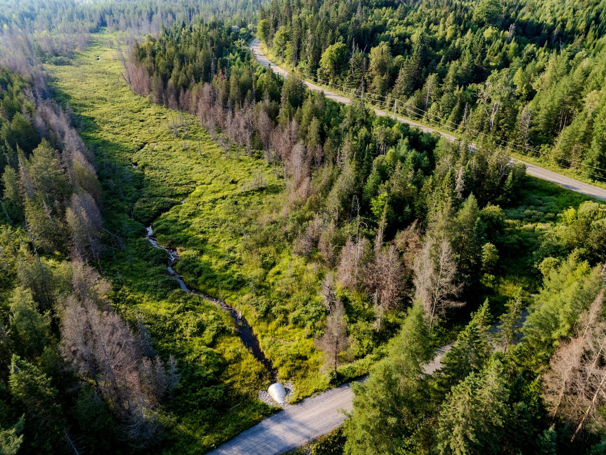 Land in Walden 3