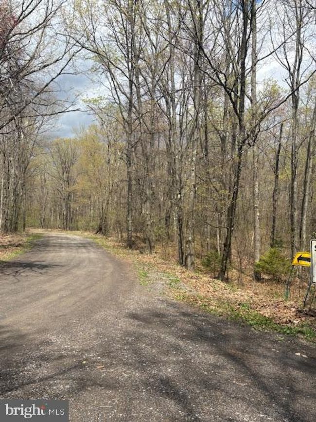 0 Little Wolf Rd, Home with 0 bedrooms, 0 bathrooms and null parking in CLARENCE PA | Image 12