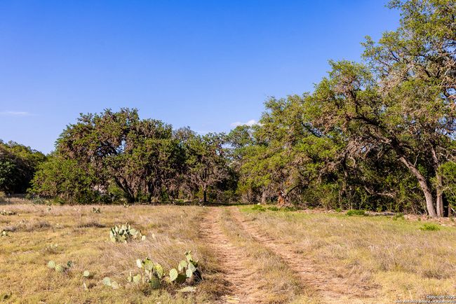 14910 Bullhead Rd, Home with 3 bedrooms, 1 bathrooms and null parking in Rocksprings TX | Image 4