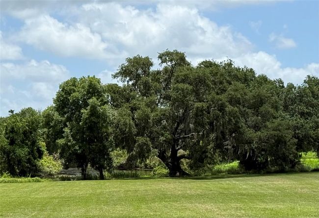Beautiful View of Mills Bayou. The perfect end to a long day is relaxing under theses majestic old oak trees or throwing out your line and waiting for a bite. | Image 26