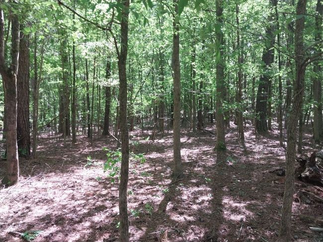 846 Latimer Mill Rd, Home with 0 bedrooms, 0 bathrooms and null parking in Honea Path SC | Image 15