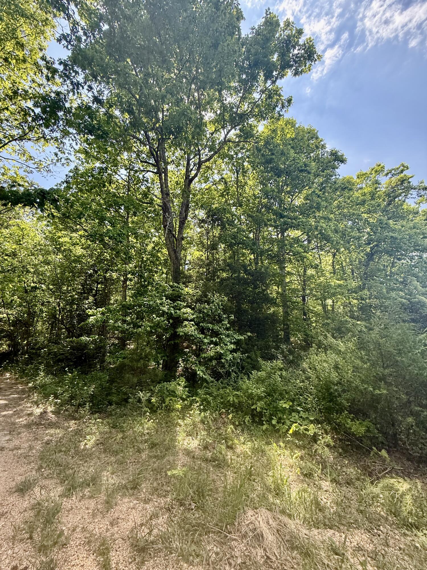 Land in Licking 5