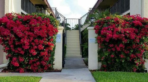 l-120 N M St, Lake Worth Beach, FL, 33460-3454 | Card Image