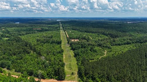 000 Avinger Cut-Off Rd, Avinger, TX, 75630 | Card Image