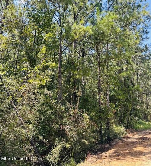 136 Dusty Rd, Neely, MS, 39461 | Card Image