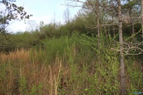 3.23 +/- Acres County Road 52, Sand Rock, AL, 35983 | Card Image