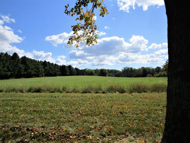 Open Land/Lot In Front | Image 19