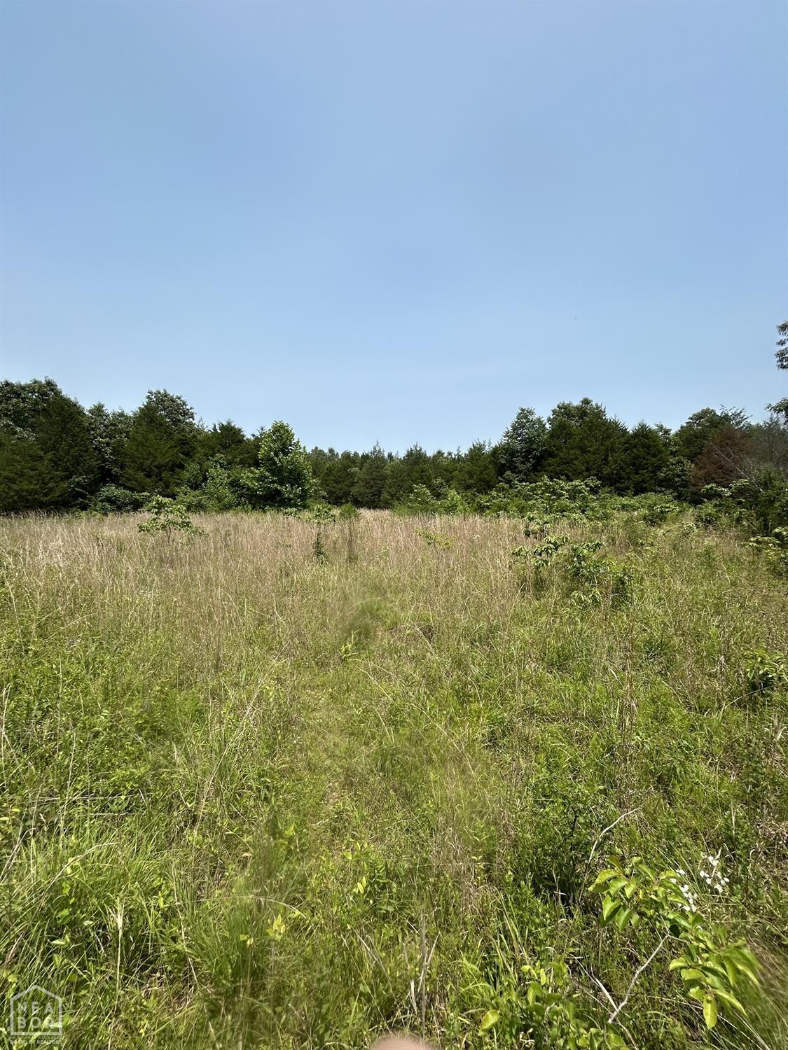 Land in Smithville