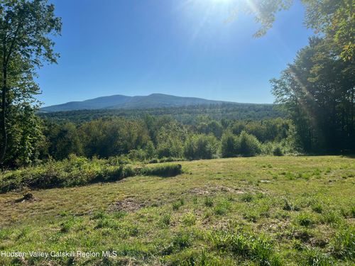 0 Blueberry Ests, Prattsville, NY, 12468 | Card Image