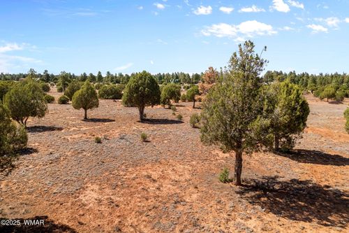 XXXXX Iron Spur, Show Low, AZ, 85901 | Card Image