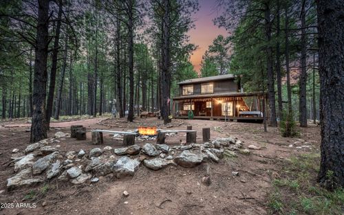 1643 Rifle Way, Forest Lakes, AZ, 85931-0153 | Card Image