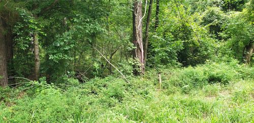 80 Morris Creek Rd, Coldspring, TX, 77331-9566 | Card Image