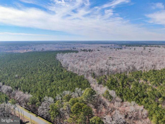 0 Follow Ditch Rd, Home with 0 bedrooms, 0 bathrooms and null parking in PRINCESS ANNE MD | Image 14