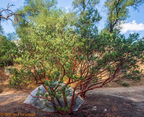 1 Cryer Road, Poppet Flats Road, Banning, CA, 92220 | Card Image