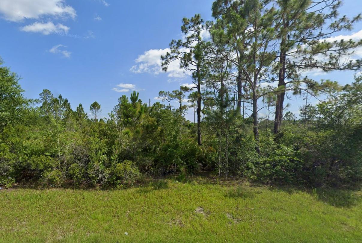 Land in PUNTA GORDA