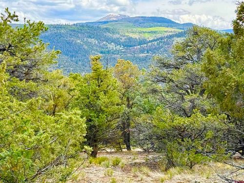 207 Wolf Creek Rd, South Fork, CO, 81154 | Card Image