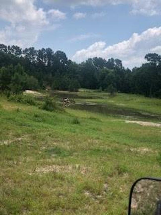 000 Counts Rd, Home with 0 bedrooms, 0 bathrooms and null parking in Pointblank TX | Image 5