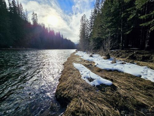 401 Western Larch Ln, Troy, MT, 59935-8820 | Card Image