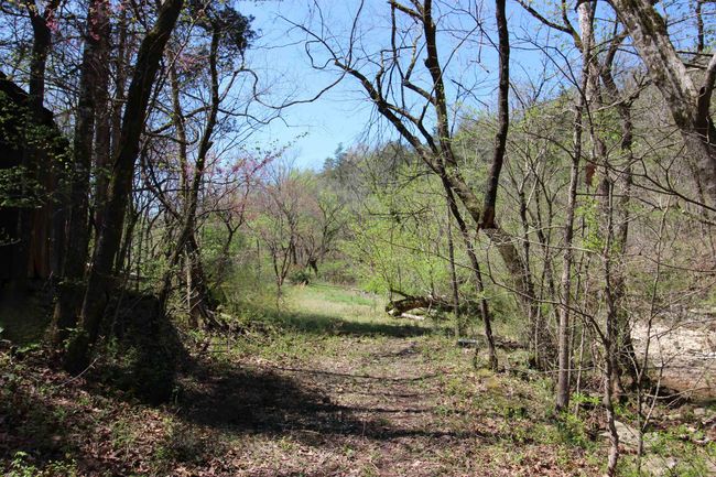 361 Rim Shoals Ln, House other with 2 bedrooms, 1 bathrooms and null parking in Mountain Home AR | Image 28