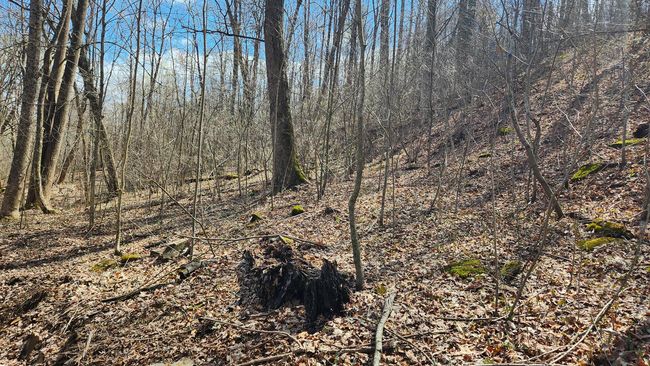 TRACT-1-PIKE-LAKE-GETAWA - 0 Pike Lake Rd, Home with 0 bedrooms, 0 bathrooms and null parking in Bainbridge OH | Image 44