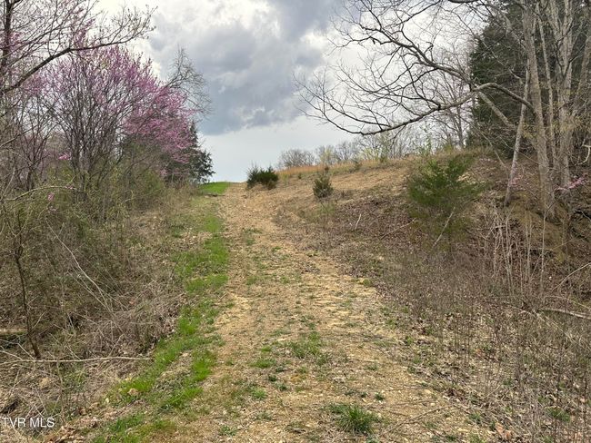 349 Old Highway Rd, Home with 0 bedrooms, 0 bathrooms and null parking in Bulls Gap TN | Image 6