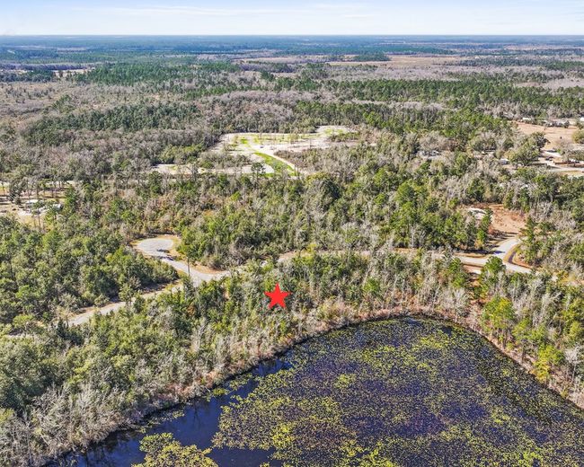 7 Seven Springs Dr, Home with 0 bedrooms, 0 bathrooms and null parking in Wewahitchka FL | Image 8