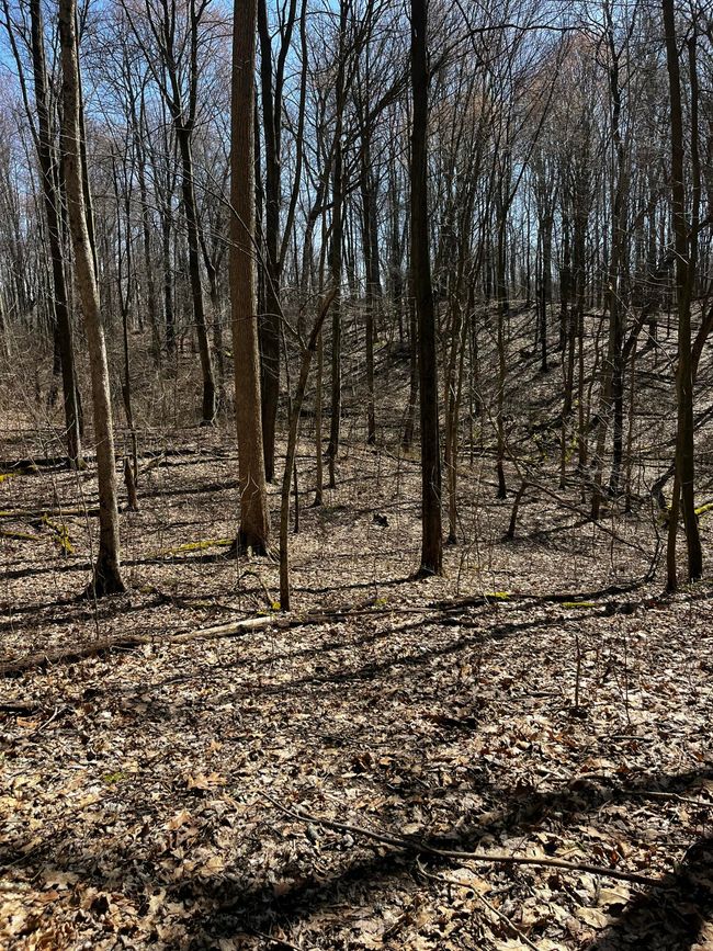 12100 Woodland Trl, Home with 0 bedrooms, 0 bathrooms and null parking in Davisburg MI | Image 5