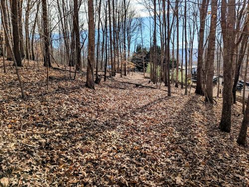 TBD Irish Mountain Rd, Allisonia, VA, 24347 | Card Image