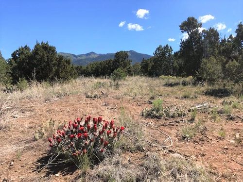 Lot 17 Duval Rd, Valdez, NM, 87580 | Card Image