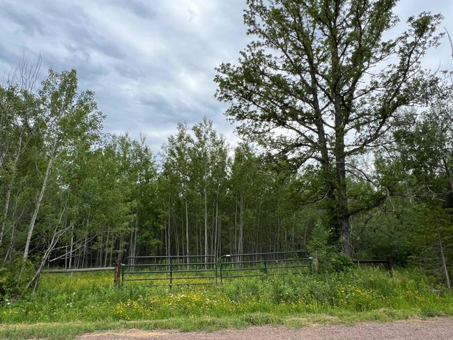 North Cattle gate | Image 45
