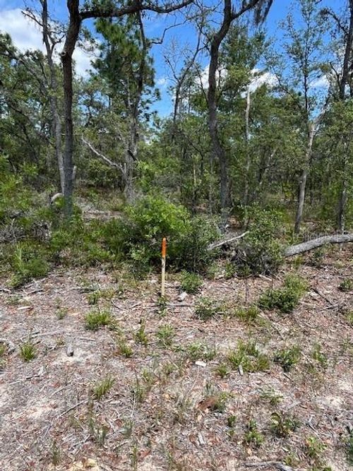 46-and-47-TBD Sw 57th Avenue, Interlachen, FL, 32148 | Card Image