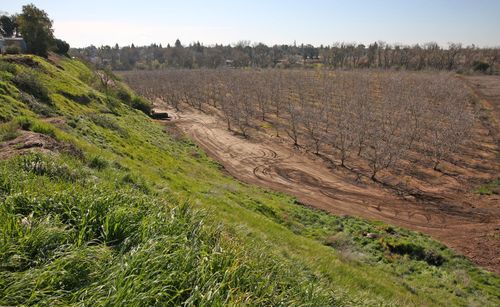 0 Jackson Rd, Oakdale, CA, 95361 | Card Image