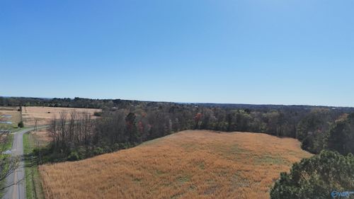 17 ACRES Columbus City Road, Grant, AL, 35747 | Card Image