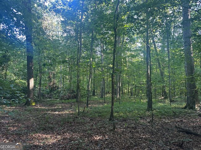 0 Highway 72 E, Home with 0 bedrooms, 0 bathrooms and null parking in Carlton GA | Image 9