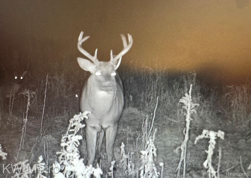 0 N Grand Lake Hwy, Posen, MI, 49776 | Card Image