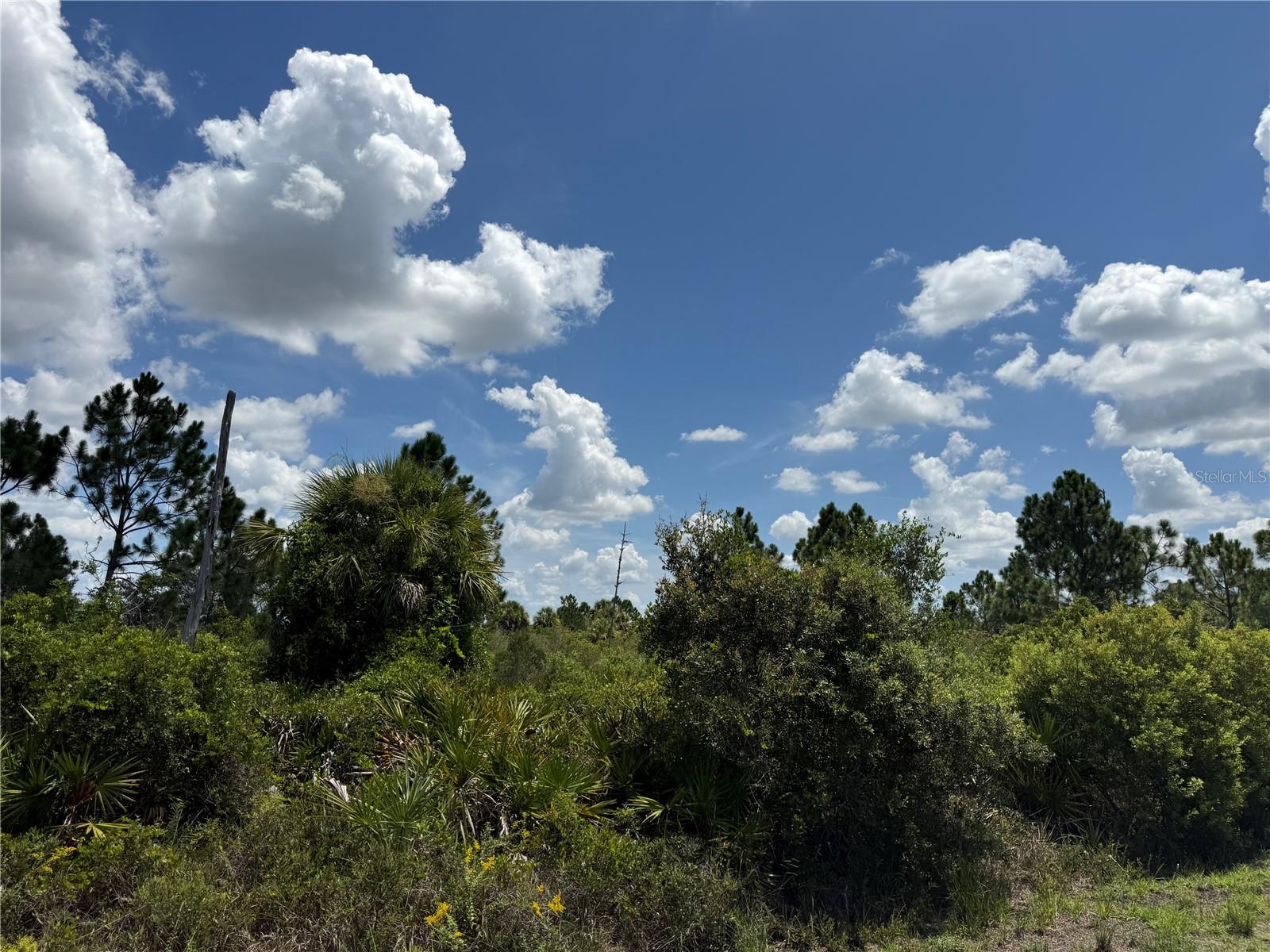 Land in PORT CHARLOTTE 4