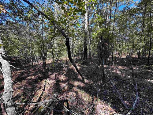 1406 Parkway Ln, Horseshoe Bend, AR, 72512-1310 | Card Image