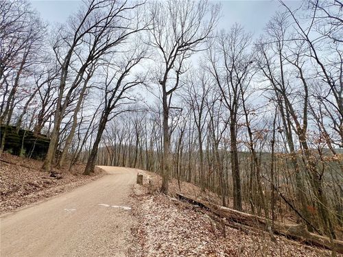 TBD Cr 246 265-00160-000, Berryville, AR, 72616 | Card Image