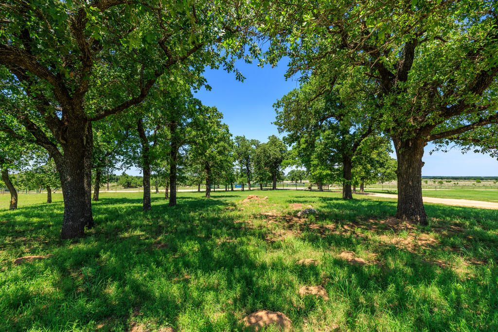 Land in Fredericksburg 3