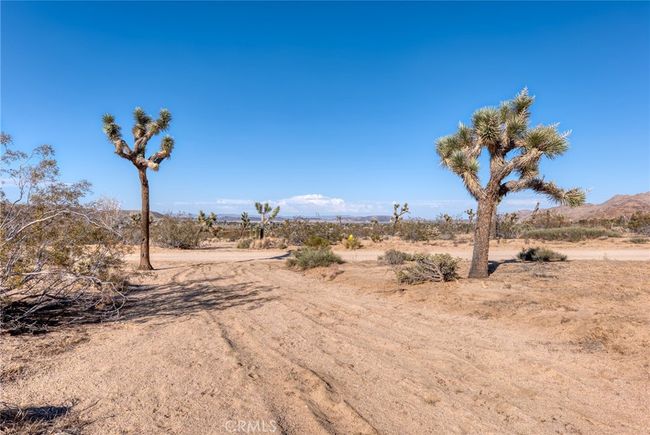 107 Juniper Rd, Home with 0 bedrooms, 0 bathrooms and null parking in Joshua Tree CA | Image 4