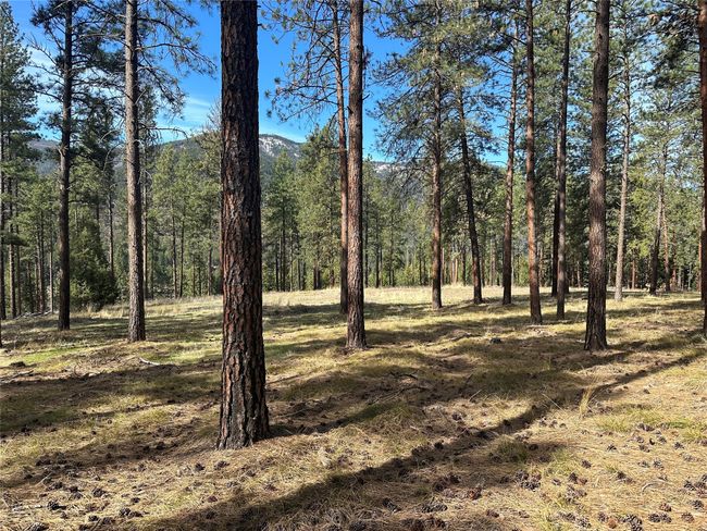 31760 Old Highway 10 W, Home with 0 bedrooms, 0 bathrooms and null parking in Alberton MT | Image 30